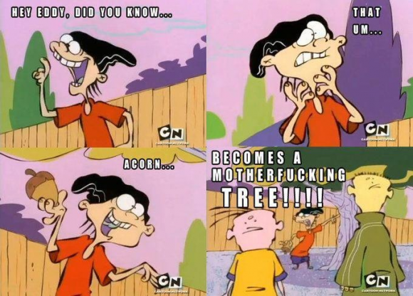 11566_389757994456930_499530630_n