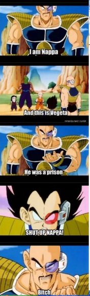 60590_215624891904720_272522606_n