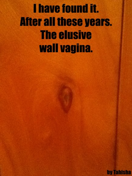 Wallgina