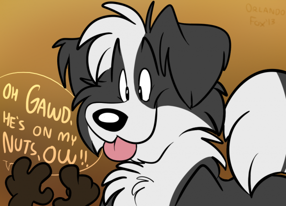 OrlandoFox - Good Bandit!