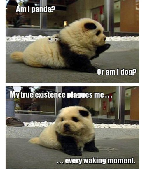 tumblr_miu6xpSwn31qewacoo1_r1_500