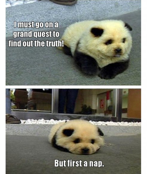 tumblr_miu6xpSwn31qewacoo2_r1_500