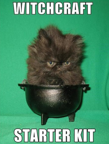 tumblr_mk8oqy4nUe1qewacoo1_500