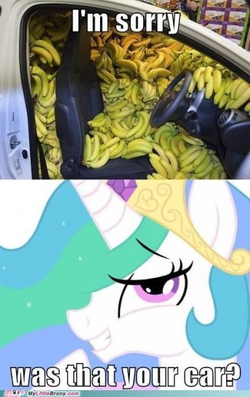 tumblr_mm2wfwznvP1rd23b5o1_500