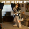 puppylove