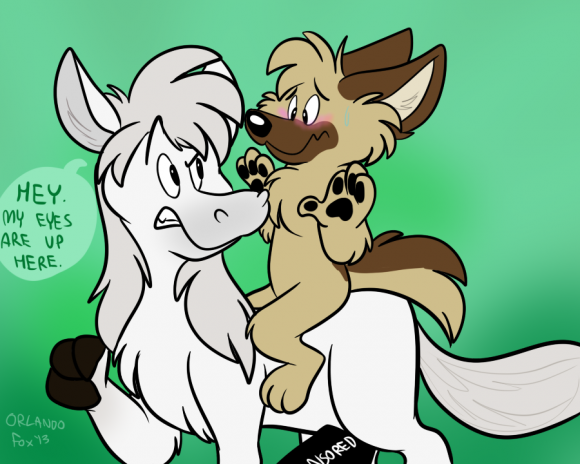 OrlandoFox - Horse Funnels Plz