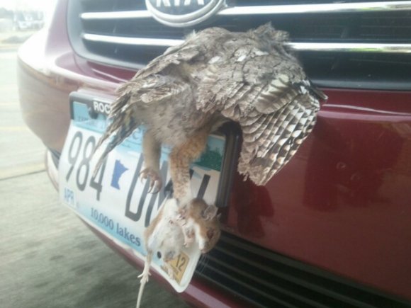 tumblr_mp53oapxjb1qzerzpo1_1280