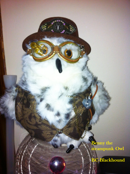 Benny the owl 1