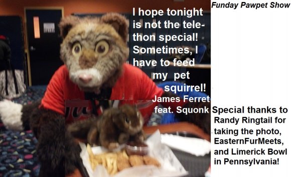 Ferret Squirrel Food