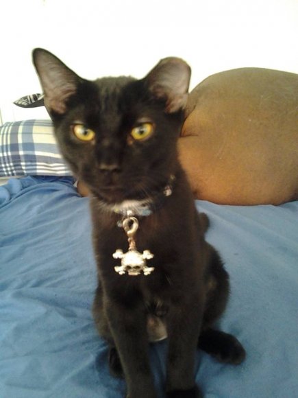 1208604_10152587821435656_605041590_n