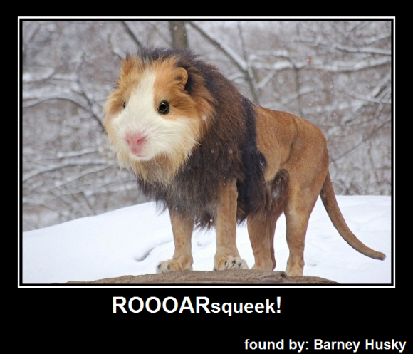 Roarsqueek