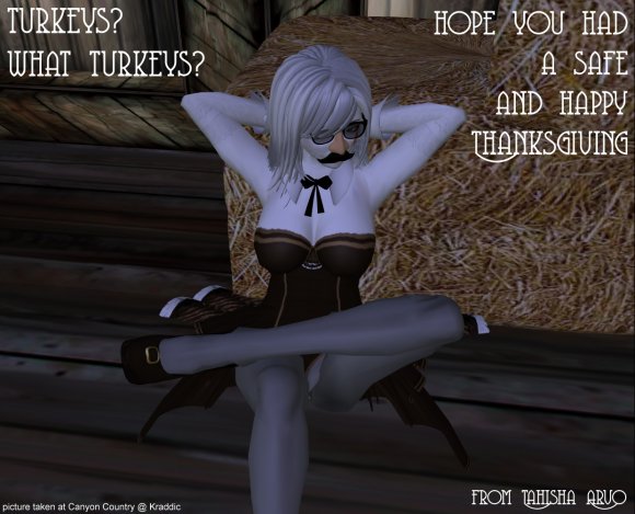 Happy Thanksgiving 2013 - RL version  1