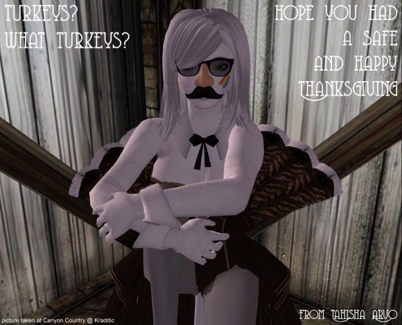 Happy Thanksgiving 2013 - RL version  2