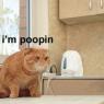 i-m-poopin-1