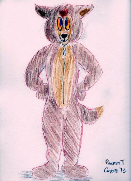 Coyote Footy PJs243