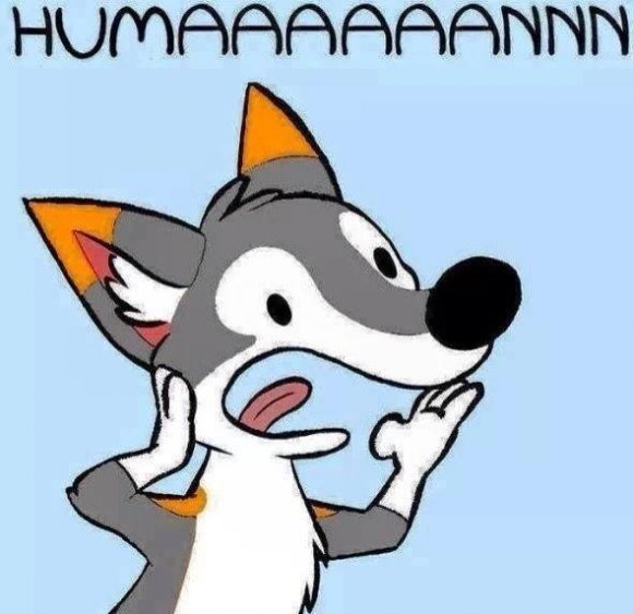 994678_399260153550817_762215163_n