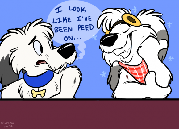 OrlandoFox - Comparison