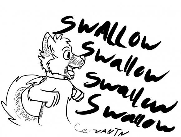 Swallow