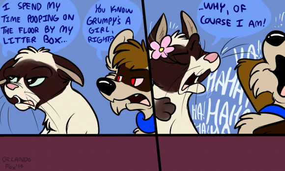 OrlandoFox - GrumpyPlz