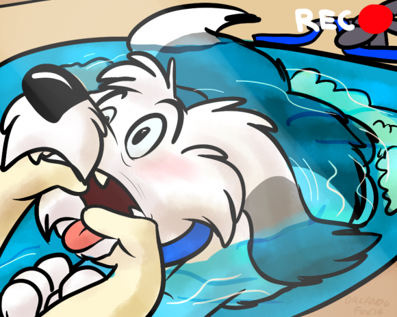 OrlandoFox - Mutt's Bath