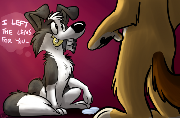 OrlandoFox - Considersate Bandit