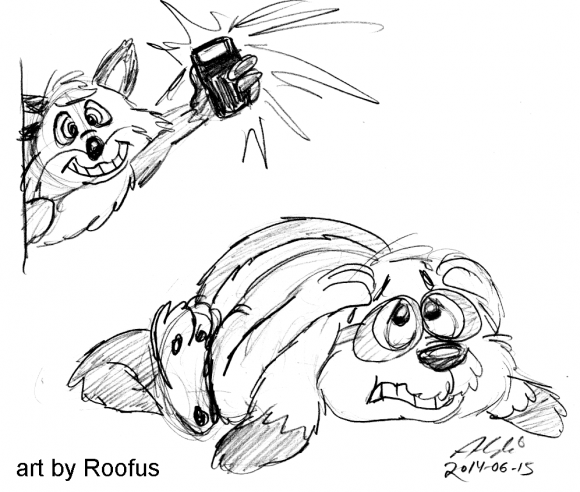 2014-06-15_Roofus_04 Scaredy Ezra