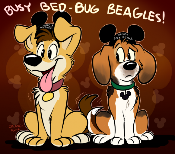 OrlandoFox - Beagles