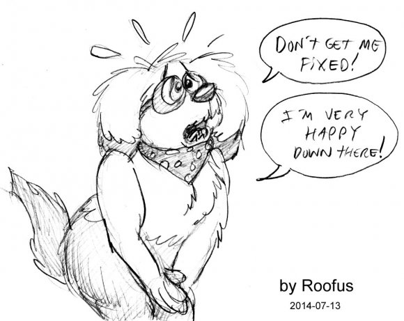 2014-07-13_01 Roofus_Ezra fixed