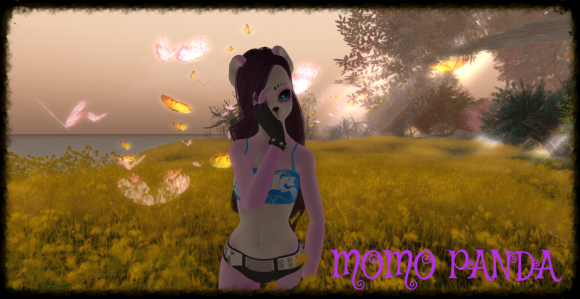 32476806-7a22-44ba-a36f-6082625141d7_zps7f248828