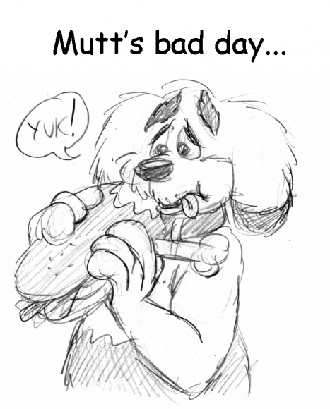 2014-08-24 Mutt's bad day_1
