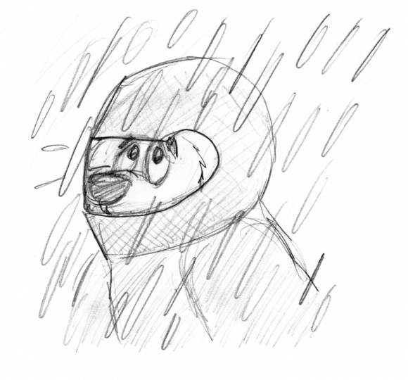 2014-08-24 Mutt's bad day_2