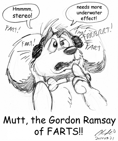 2014-09-21_01 Mutt fart judge