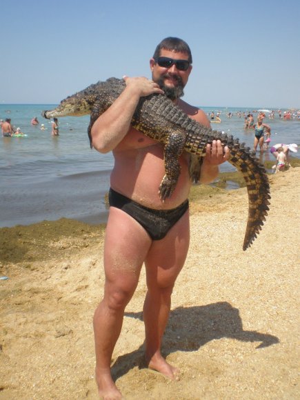 http%3A%2F%2F31.media.tumblr.com%2F2233bb6e377398d6f1336cc252867234%2Ftumblr_nbz2goHkzK1qcvimoo1_1280