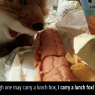 lunch fox