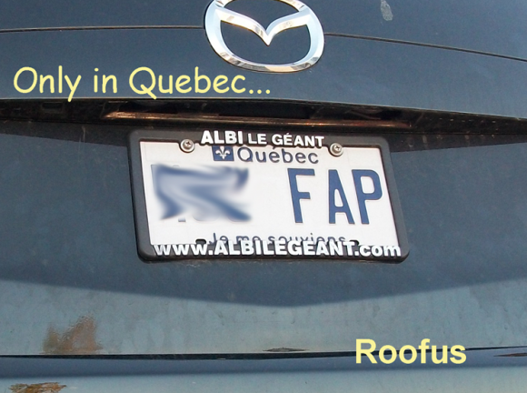 2014-10-10 funny license plate