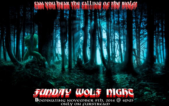 FWN Poster 3
