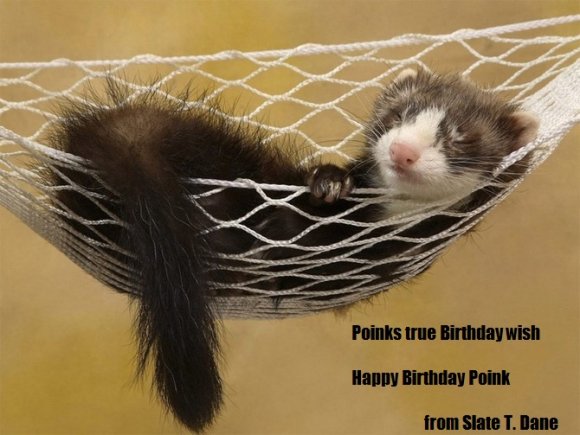 Happy Birthday Poink