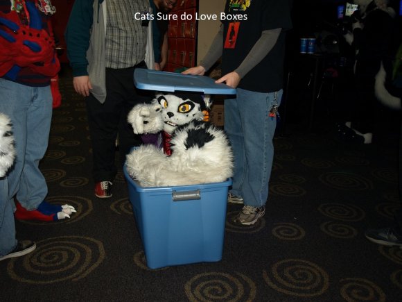 1414075496.-rc-_pa185781