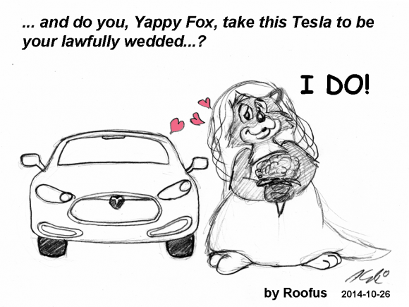 2014-10-26_02 Tesla Wedding