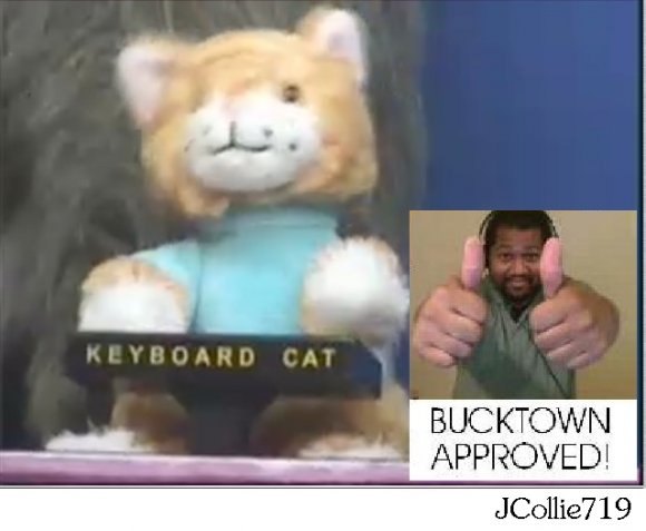 JC719-KeycatBucktown