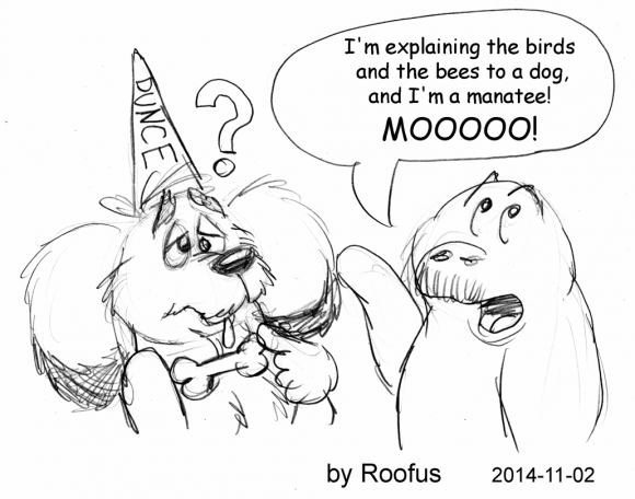 2014-11-02 Witches' brooms