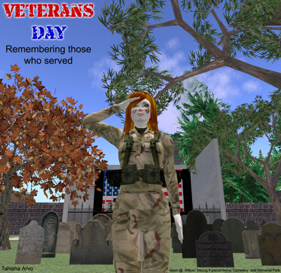 Veterans Day 2014