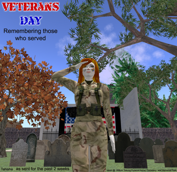 Veterans Day 2014