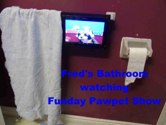 FredBathroom