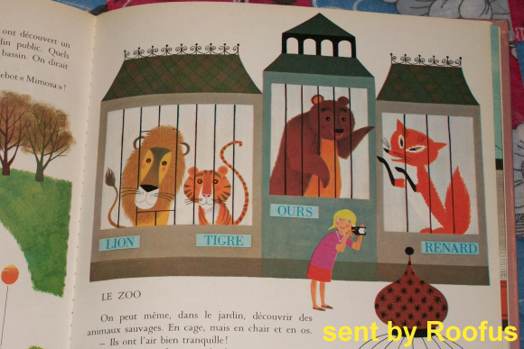 2015-06-14_giant_fox_2