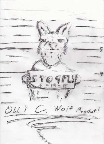 Olli C. Wolf Mugshot Artjam 6-14-2015 - 2