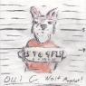 Olli C. Wolf Mugshot Artjam 6-14-2015 - 3