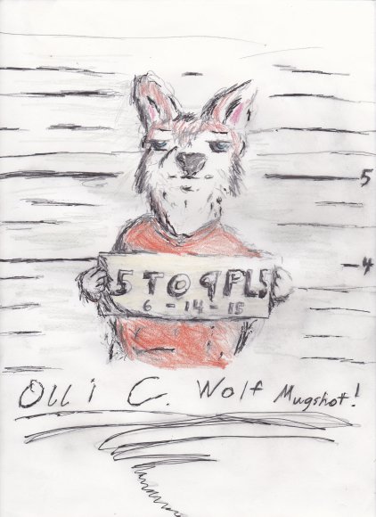 Olli C. Wolf Mugshot Artjam 6-14-2015 - 3