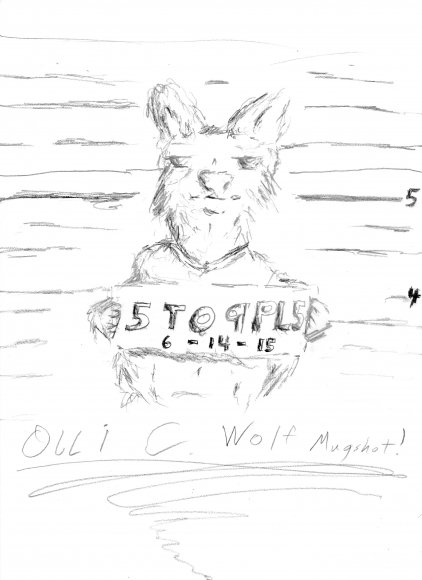 Olli C. Wolf Mugshot Artjam 6-14-2015