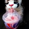 slurpee nose